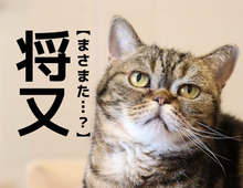 【将又】なんて読む？「まさまた」ではありません。意味は「あるいは。それとも」…ピンときた？【漢字クイズ】