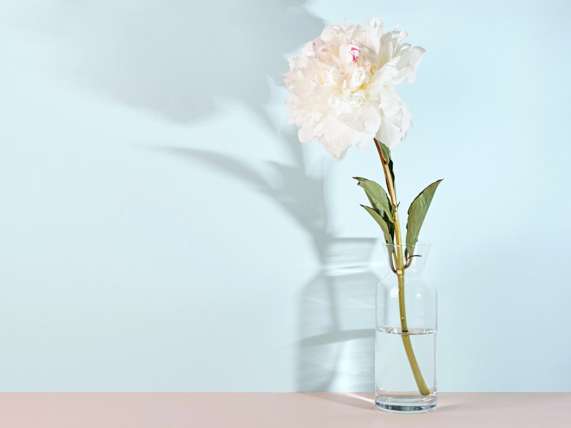 3月7日（土）今日はトラブルが起きやすい警戒日！とくに注意してほしい時間帯はココ！