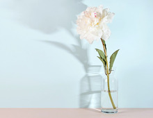 3月7日（土）今日はトラブルが起きやすい警戒日！とくに注意してほしい時間帯はココ！