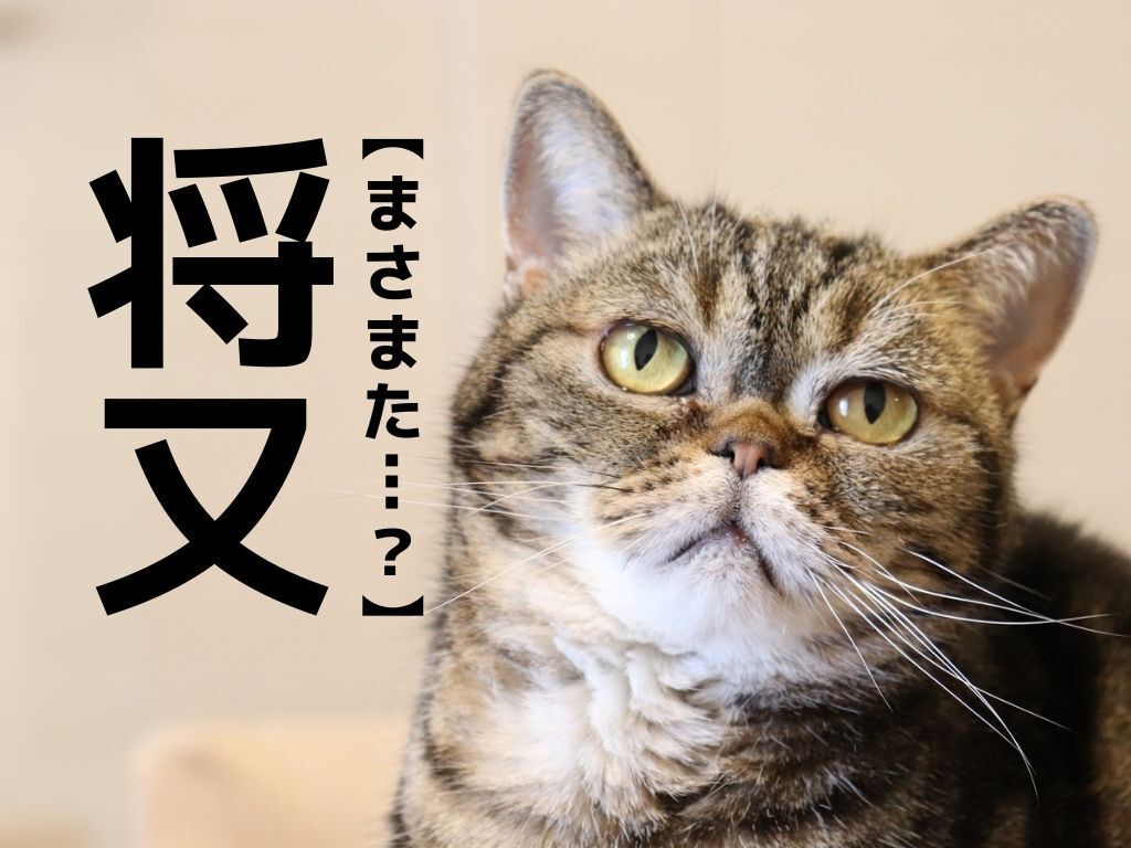 【将又】なんて読む？「まさまた」ではありませんよ！【読めそうで読めない漢字クイズ】