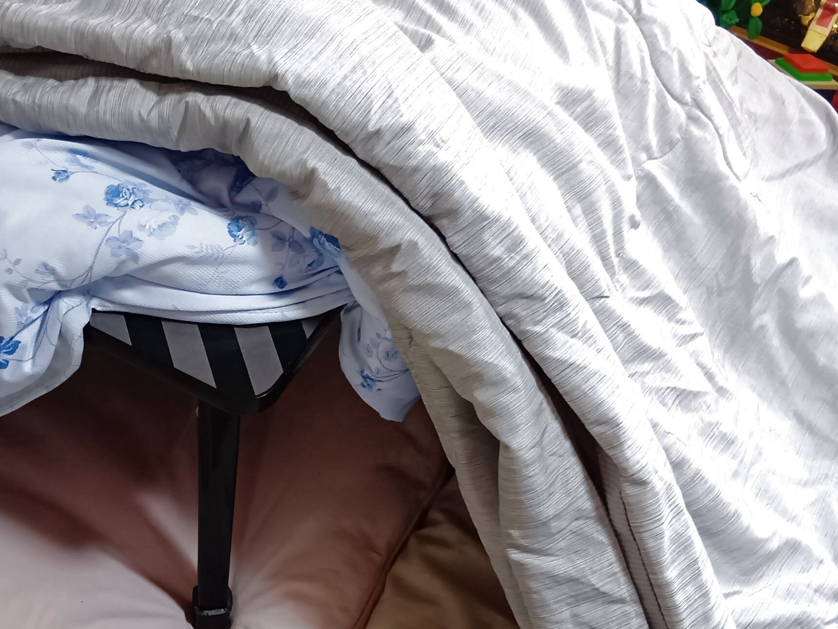 そのあたたかな余韻を受けて、今回は“ひなまつり編”として第2幕を新たに企画！！！