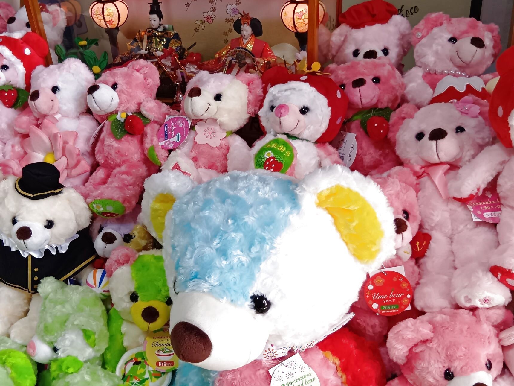 色だけでなく、桜や苺、桃など春モチーフのベアたちには、特等席をご用意。