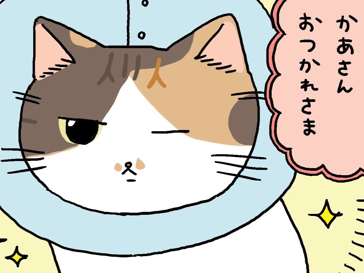 どんなときも、ゆずれない場所。【てらねこミー子の日常】