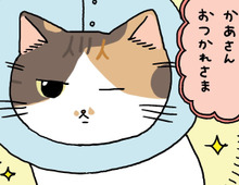 どんなときも、ゆずれない場所。【てらねこミー子の日常】