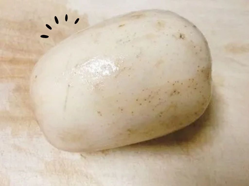 包丁もピーラーも使いません。『れんこんの皮』をあっという間にキレイにむく方法！