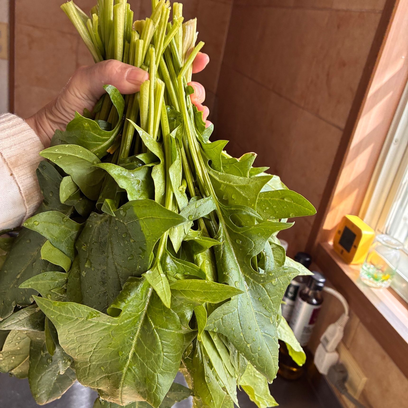 半分収穫でこんなにも！