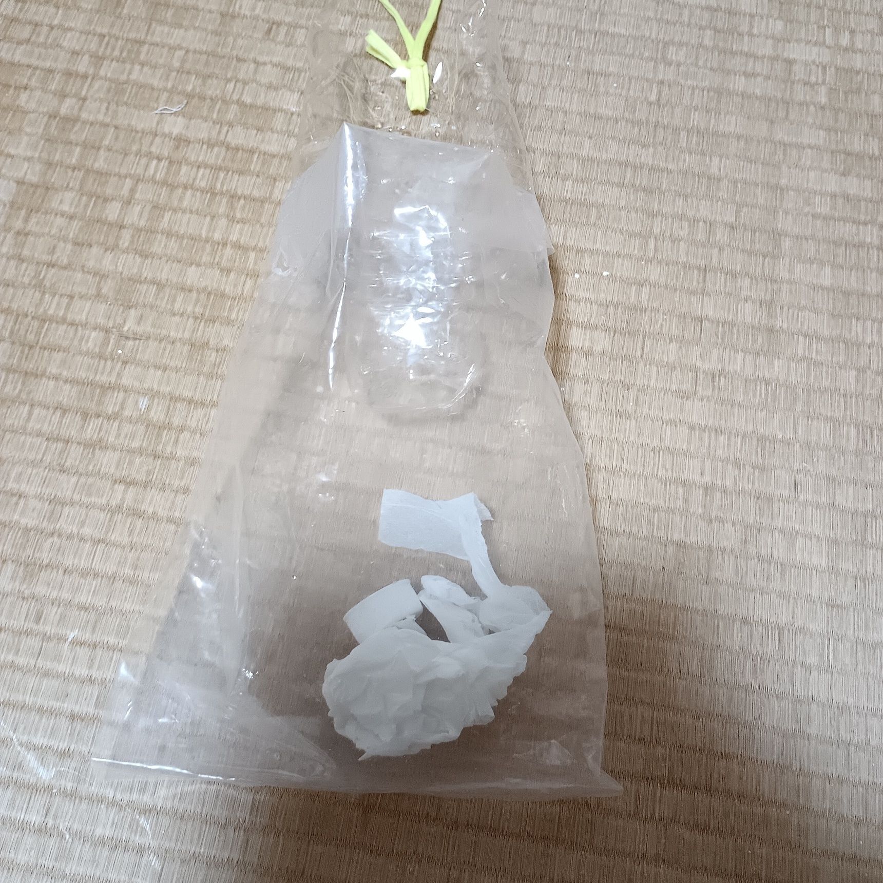 使い捨てティッシュ専用ゴミ入れ