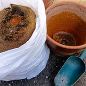 まさかのホラー…鉢の穴の内側に白い卵！その正体に絶句！“開かずの扉級”プランター！危険も潜んでいるよ