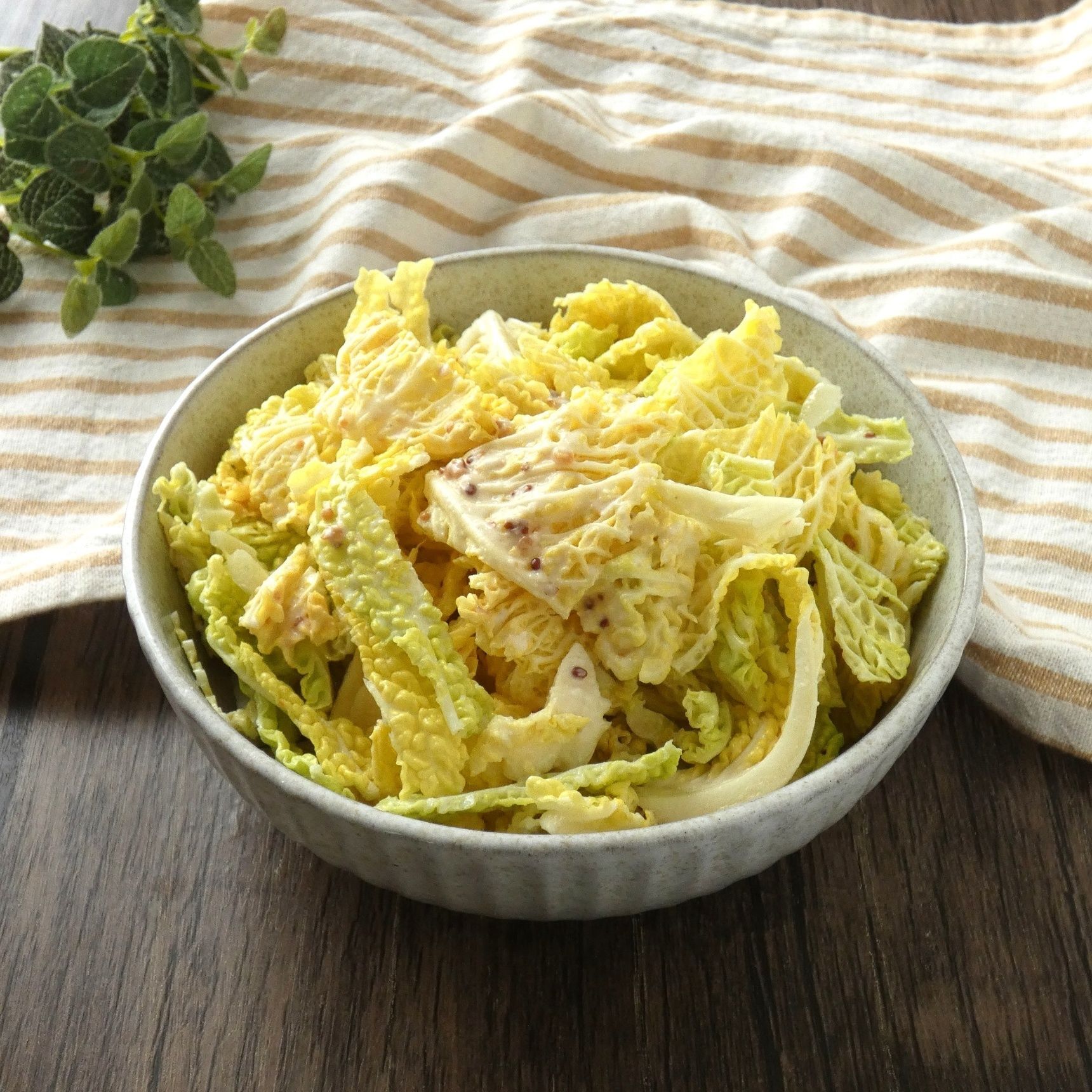 3分で完成！「サボイキャベツのシーザーサラダ」