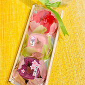 桜と羊羹のマリアージュ！まるで宝石