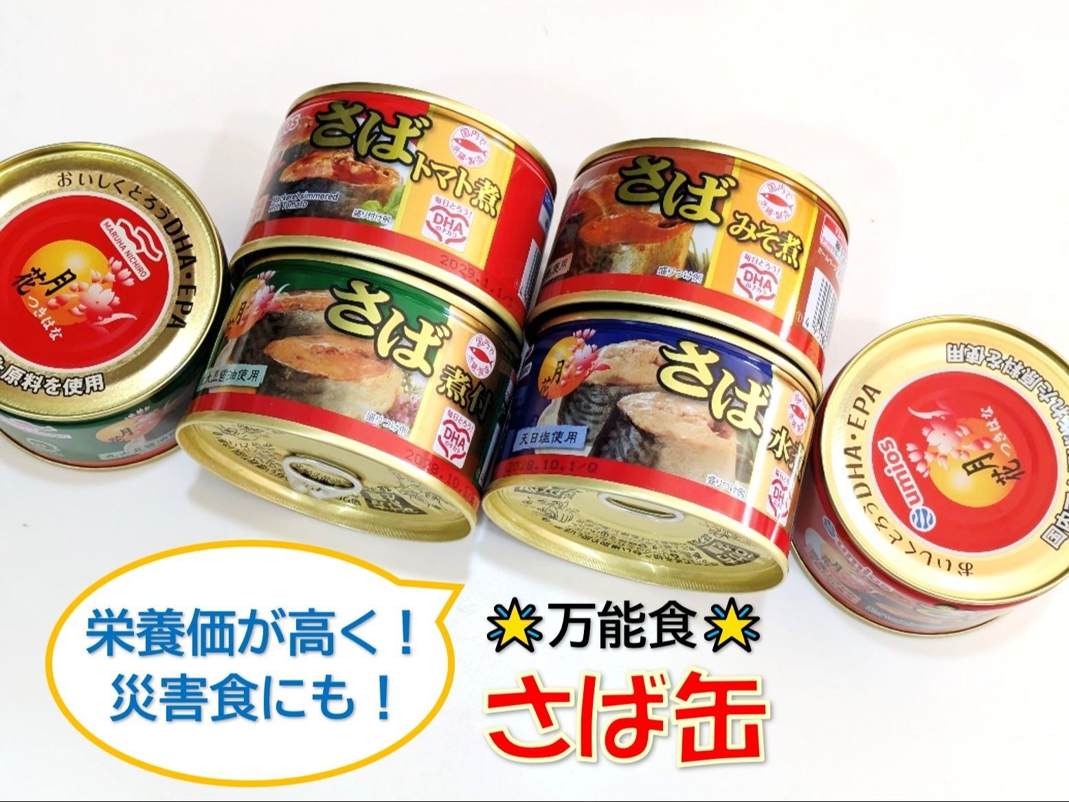 改めて実感！さば缶はやっぱり便利ヽ(^o^)丿