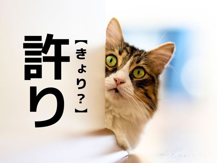 【許り】なんて読む?「ゆるり」でも「きょり」でもありません。【読めそうで読めない漢字クイズ】
