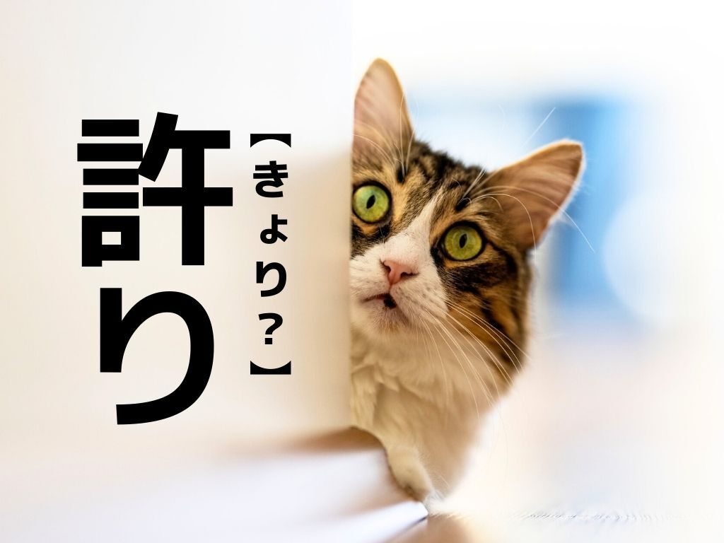 【許り】なんて読む？「ゆるり」でも「きょり」でもありません。【読めそうで読めない漢字クイズ】