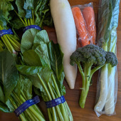 物価高の今！激安で新鮮野菜を手に入れました〜！