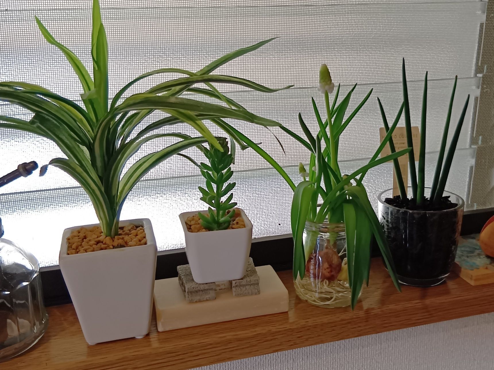 葉の形が細長いため、にんにくの葉と少し似て見えることがあるので注意が必要です。ただし、にんにくは葉をこすると独特のにんにくの香りがするため、見分けるポイントになります。