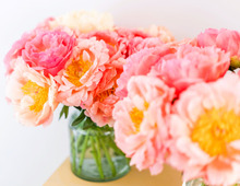 3月16日（月）今日は3月の福をつかさどる超ハッピーデー！ただし、この話だけはしないでくださいね！