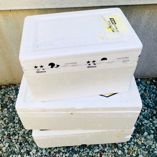 寒の戻りがなくなったら、越冬したお花たちの手仕事の始まり〜