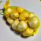 実はにんにくじゃない？摩訶不思議な植物！！！この大きさ凄い！ネットで買ったジャンボにんにくを初実食！