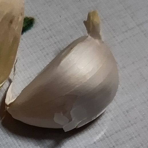 にんにくが余ったからといって、庭に植えてそのまま放置して忘れてしまうこともあると思います。でも、後で葉を見たときに、他の毒性のある植物の葉と間違えて食べないように注意してくださいね。