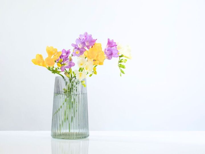 3月20日(金)今日は「彼岸の中日」。ご先祖様へのお墓参りでやったほうがいいことは?