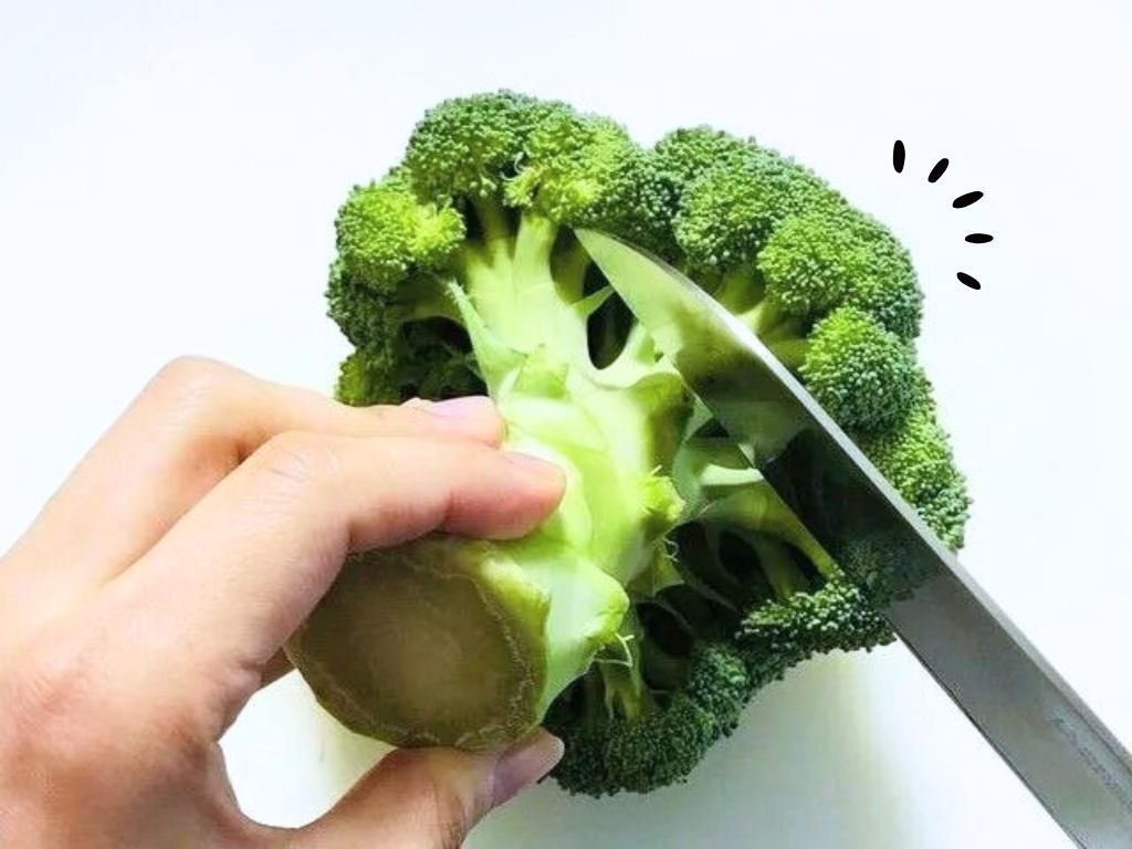 ブロッコリーを『小房に分ける』正しくできる？実は切り方にコツがあるんです！