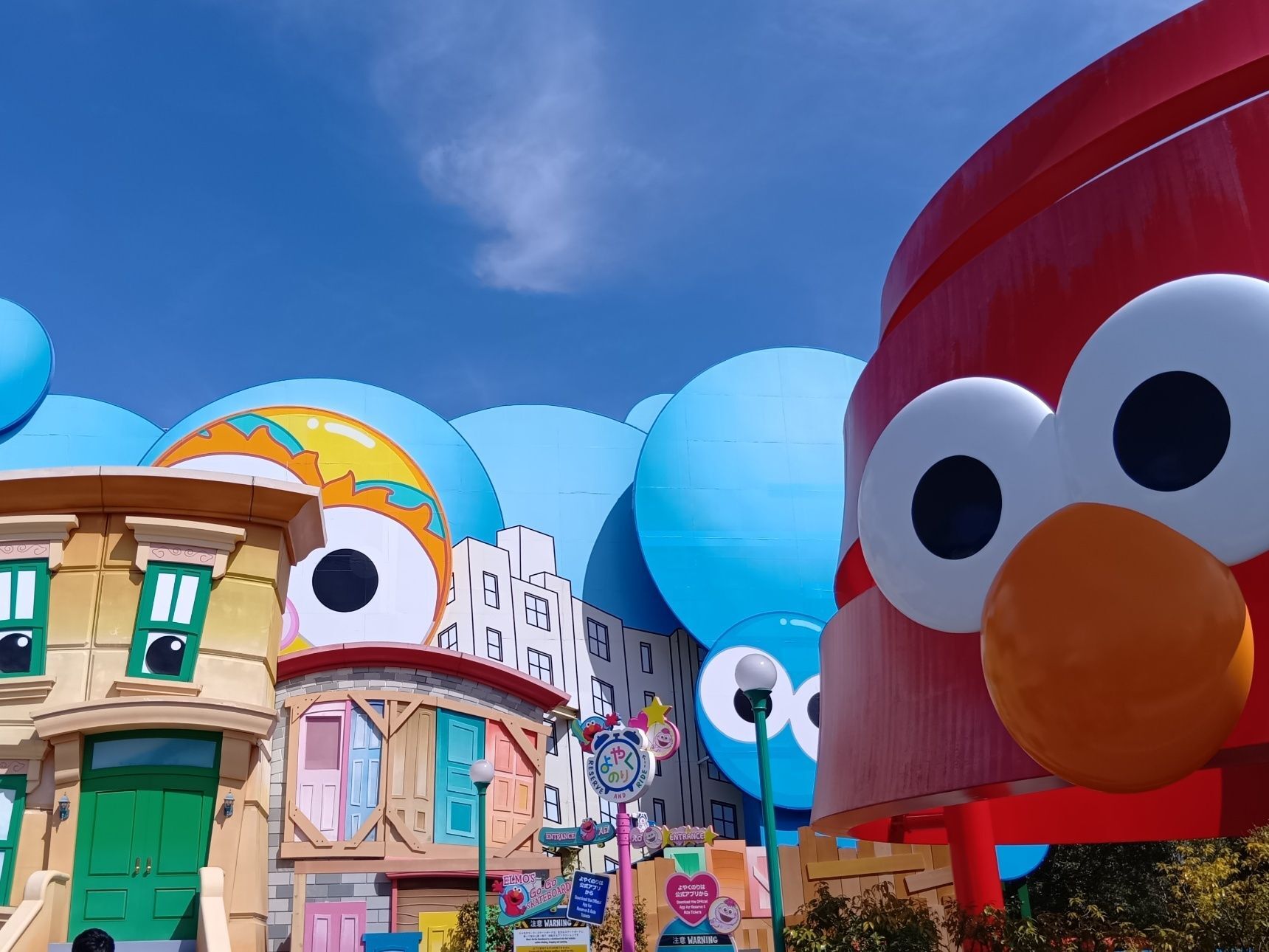 今回紹介したものは、ユニバ内で撮影したラナンキュラスのお花です。