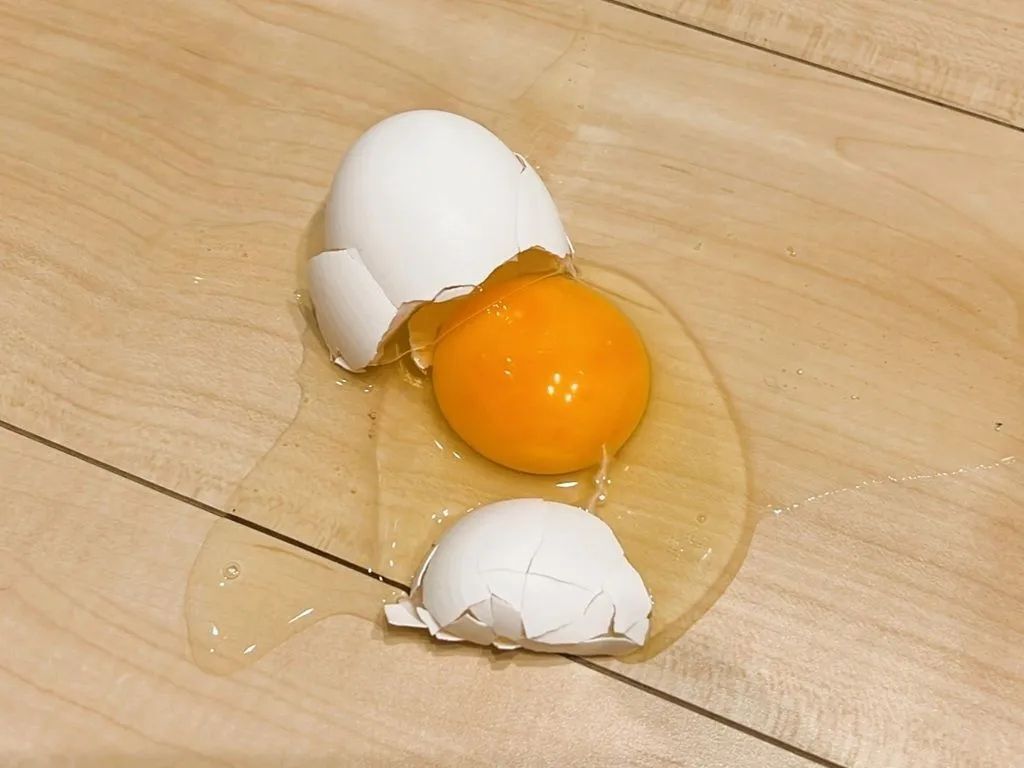 「生卵を落としちゃった…」そんな時はしばらく放置するのが正解！？驚きの掃除術を試してみた結果