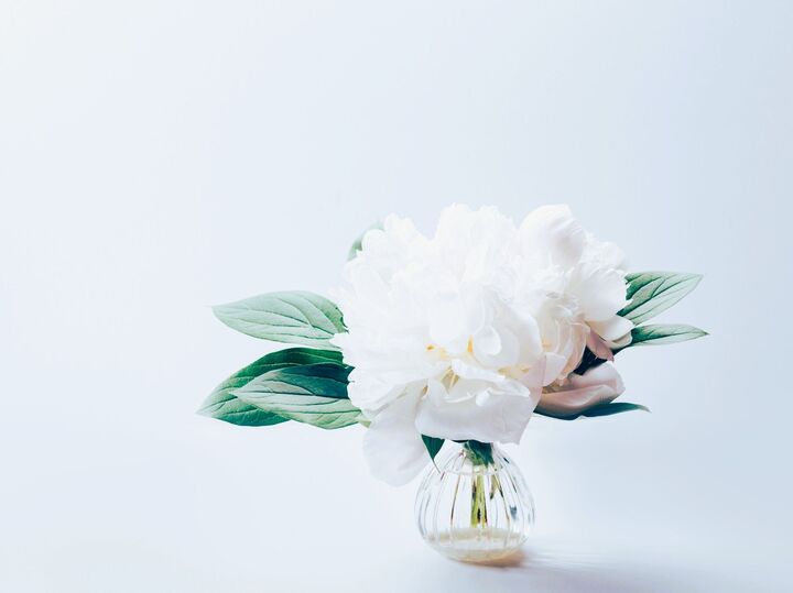 3月20日(金)今日はかなりハードな要注意日。絶対やっちゃダメなことがありますよ!