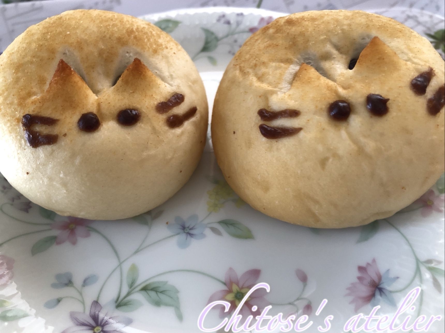 お店によってお顔が違うみたい。見つめられて即お持ち帰り