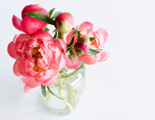 3月22日（日）　今日は3月最大の幸運日！今日こそ、どんどんやった方がいいことがありますよ♪