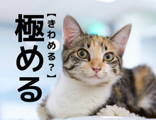 【極める】の意外な読み方知ってる？「きわめる」ではないですよ【読めそうで読めない漢字クイズ】