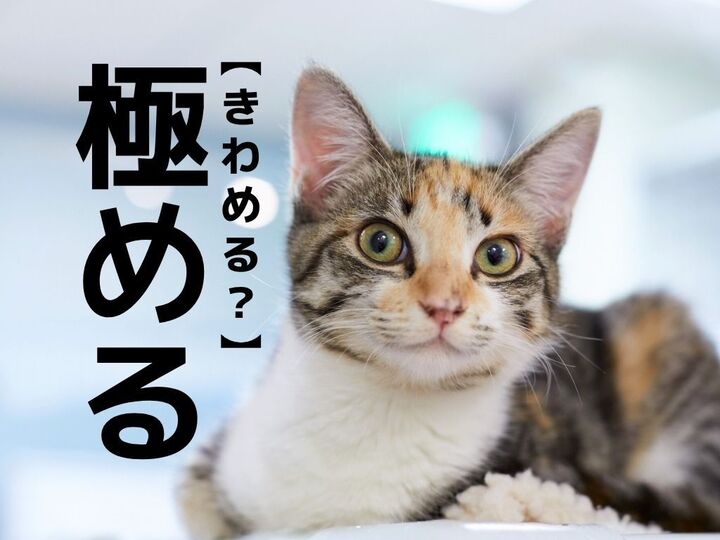 【極める】の意外な読み方知ってる?「きわめる」ではないですよ【読めそうで読めない漢字クイズ】