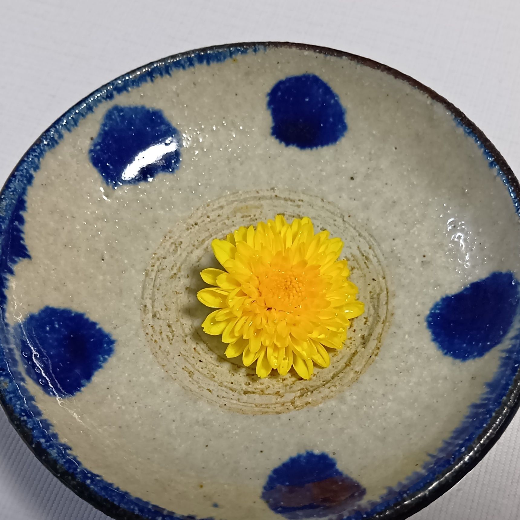 刺身の菊って食べられるの？雑草「ノゲシ」とそっくり？キク科の食と毒性の注意点