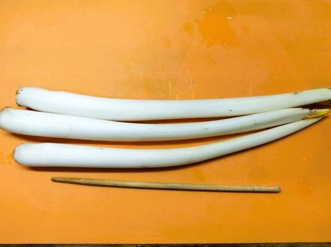 この野菜ご存知ですか？芋の新芽！特製ピリ辛酢味噌和え・きんぴら・お浸し！