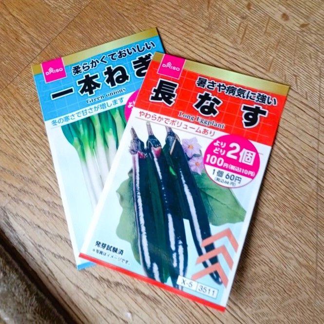 いろんな野菜の種