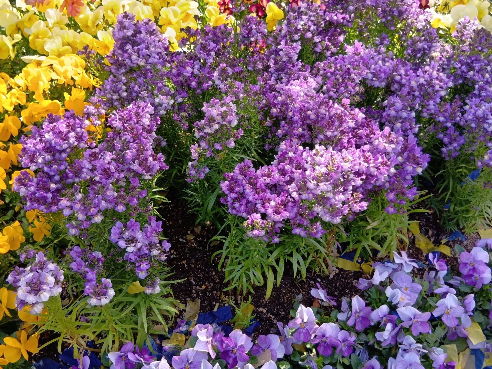 プルースト効果とは、香りによって過去の記憶が呼び起こされる現象のことを指します。