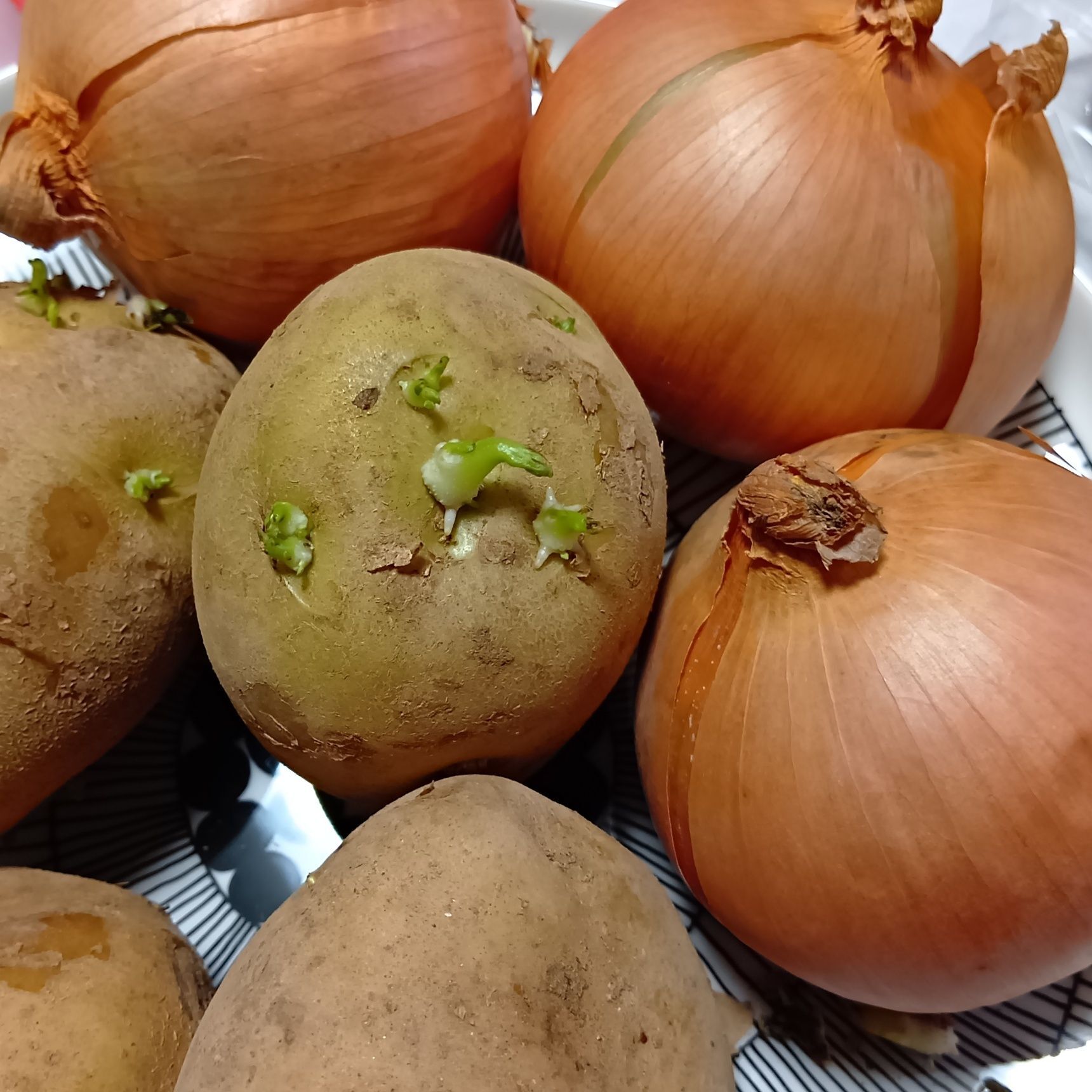 じゃが芋の芽は、とっても怖いんですよ！人体には悪影響があり、中毒をおこしてしまいます。