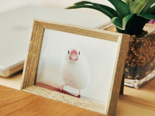 〈61歳の一人暮らし〉自分自身と好きなもののために「手放してよかったこと」