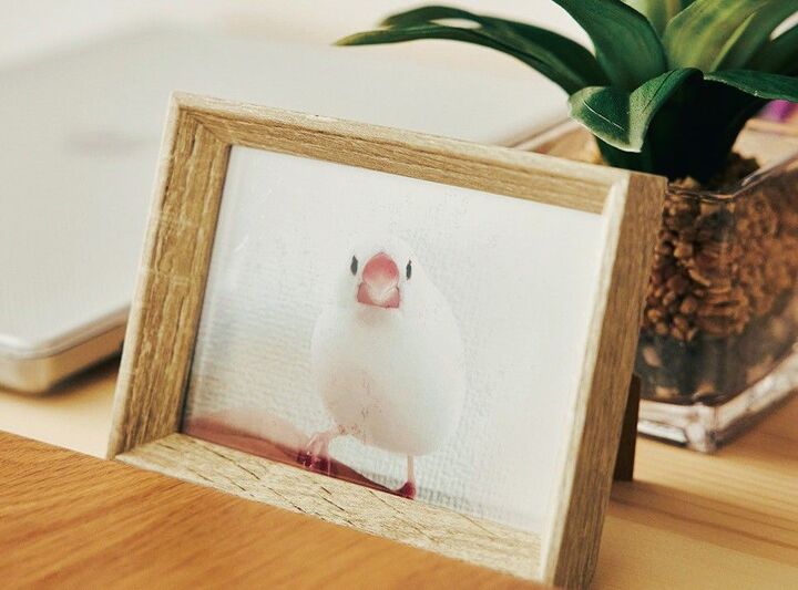 〈61歳の一人暮らし〉自分自身と好きなもののために「手放してよかったこと」