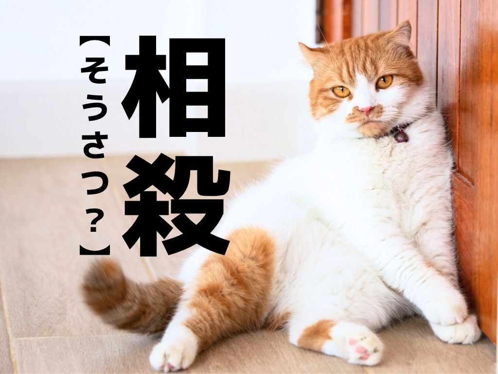 【相殺】の「そうさつ」じゃない読み方知ってる？意外と間違ってるかも…！【読めそうで読めない漢字クイズ】