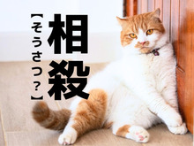 【相殺】の「そうさつ」じゃない読み方知ってる？意外と間違ってるかも…！【読めそうで読めない漢字クイズ】