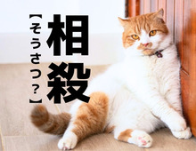 【相殺】の「そうさつ」じゃない読み方知ってる？意外と間違ってるかも…！【読めそうで読めない漢字クイズ】