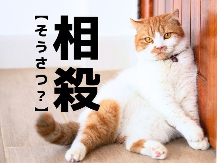 【相殺】の「そうさつ」じゃない読み方知ってる?意外と間違ってるかも…!【読めそうで読めない漢字クイズ】