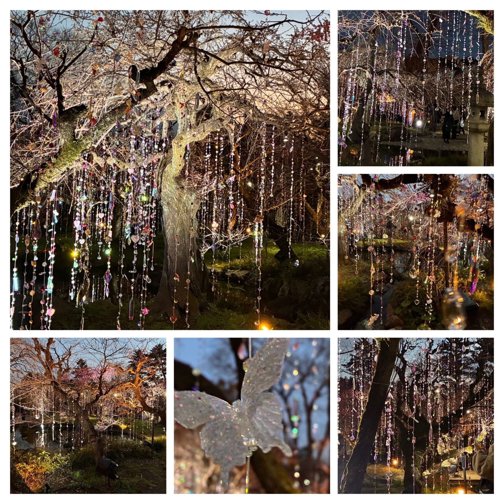 蜷川実花 with EiM