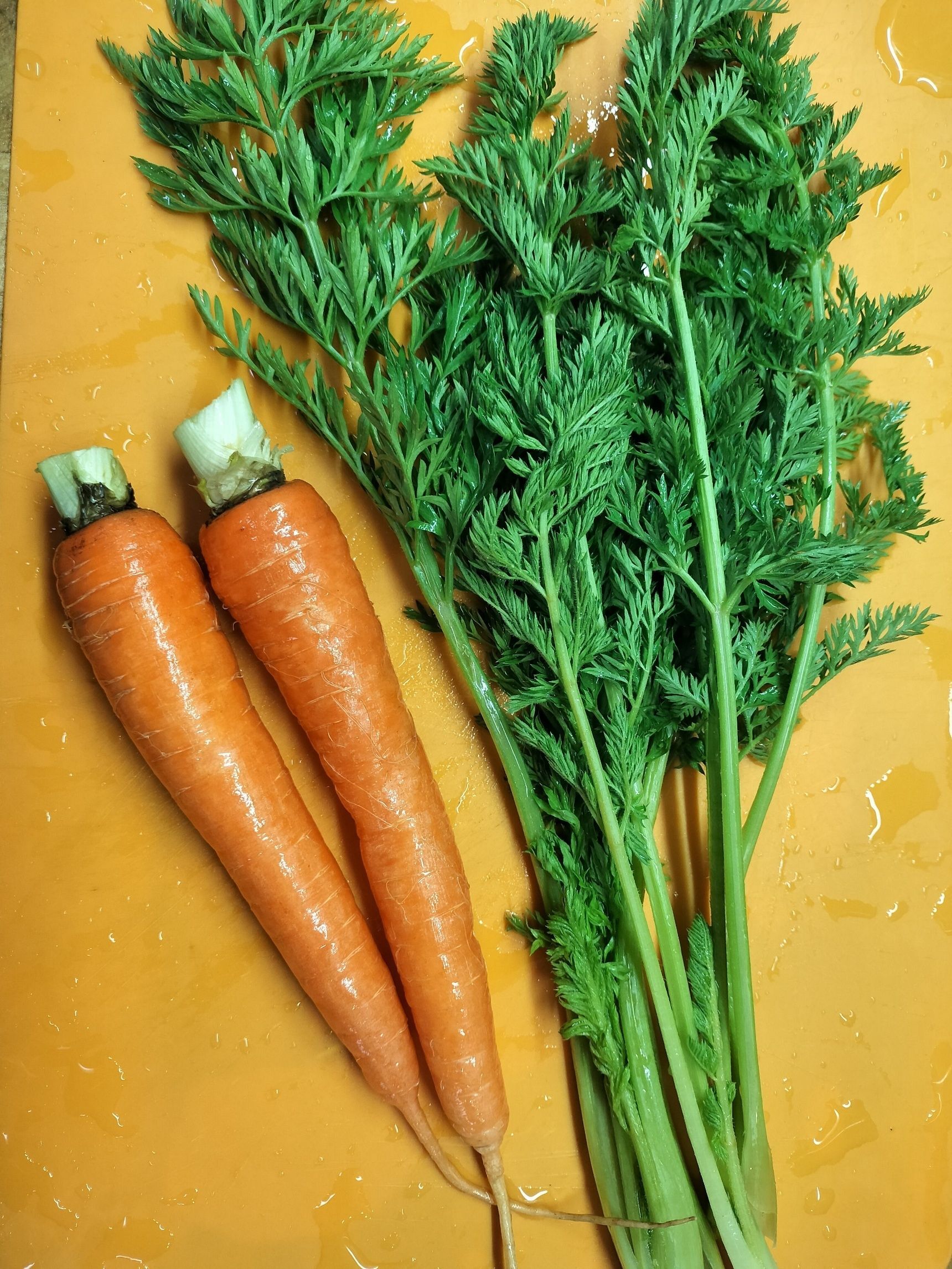 2.器に、スティック人参・千切り人参・人参の葉を盛り付ける