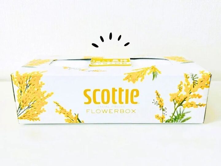 大発明!ティッシュボックスは「両方から使う」。こうすれば家じゅうで使えます♪