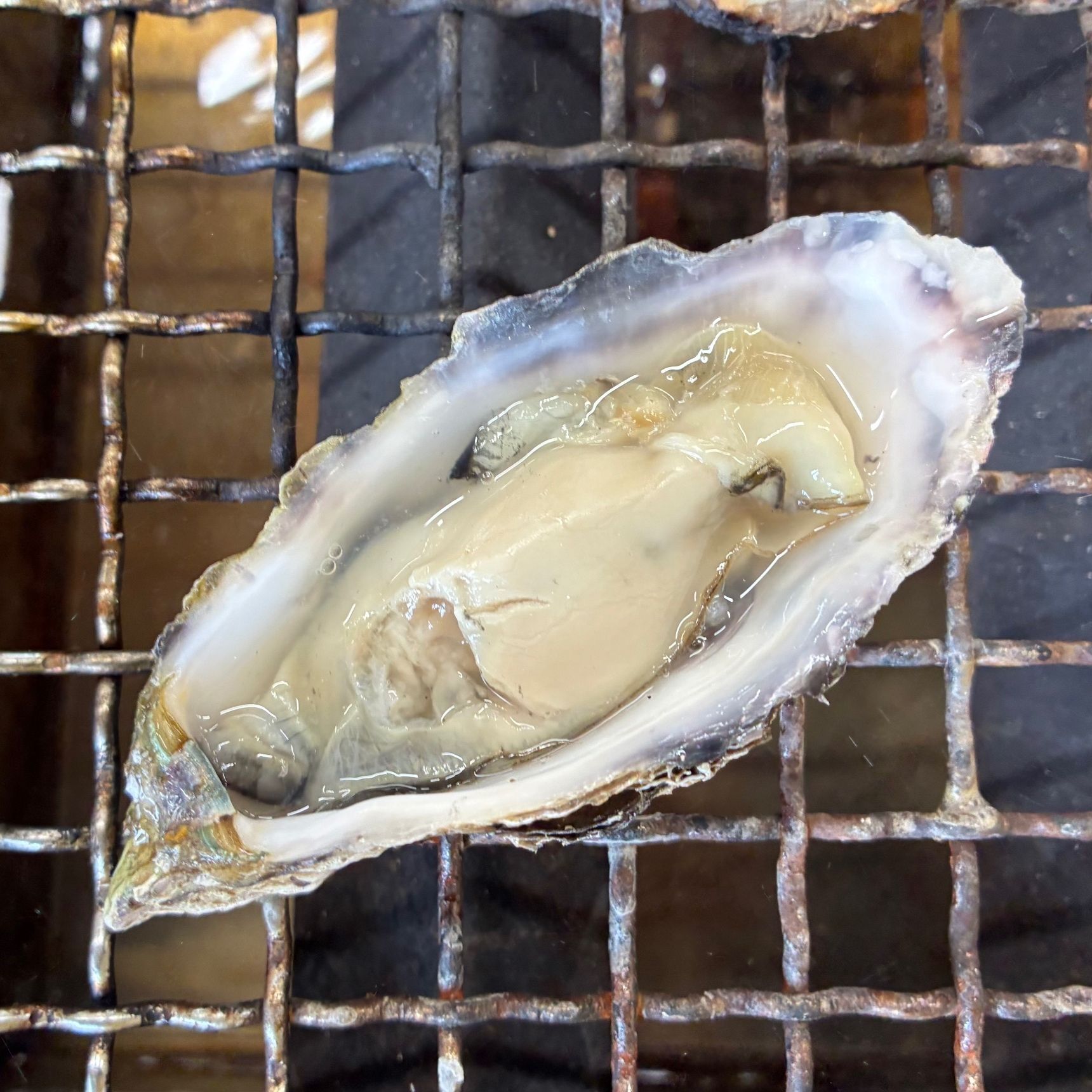 焼きガキが最高な理由