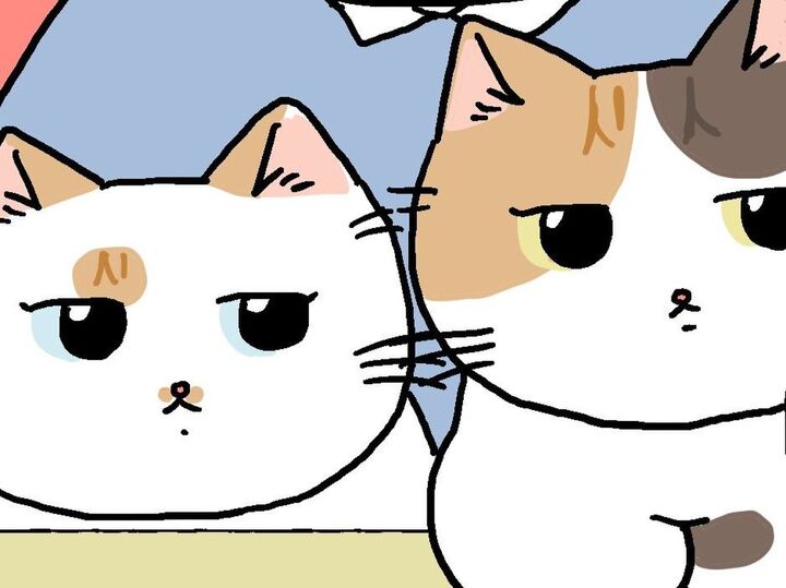 フレッシュな新メンバーを紹介するわ【てらねこミー子の日常】