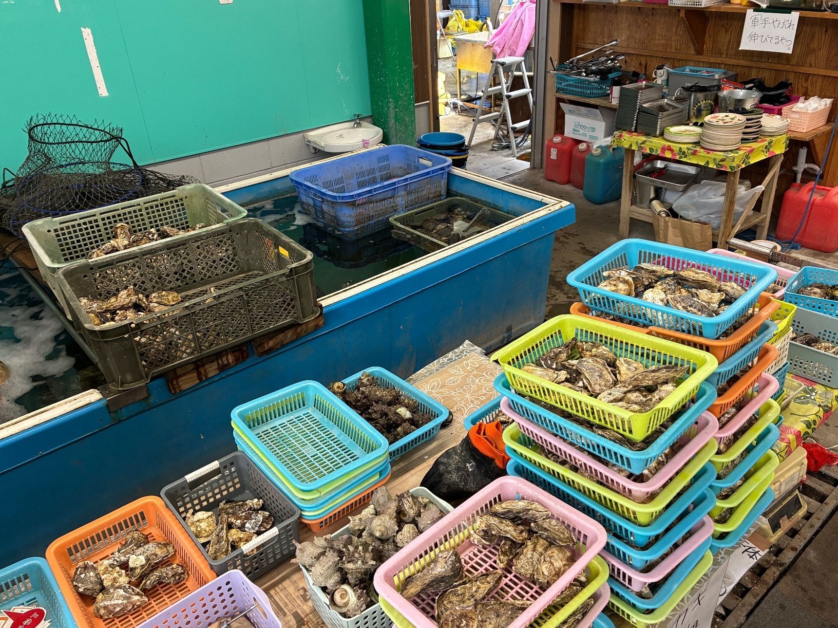 牡蠣もどーんと