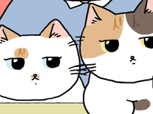 フレッシュな新メンバーを紹介するわ【てらねこミー子の日常】